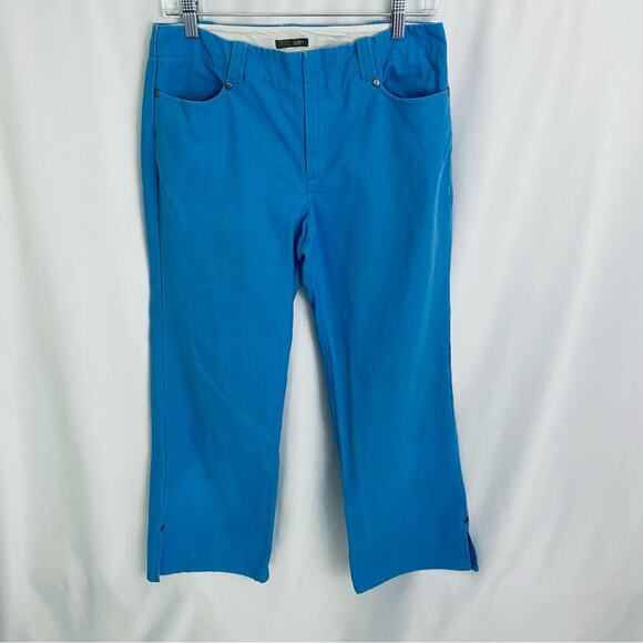 J. Crew Cropped Blue Pants Size 6 - Picture 1 of 12